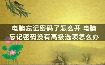 电脑忘记密码了怎么开 电脑忘记密码没有高级选项怎么办